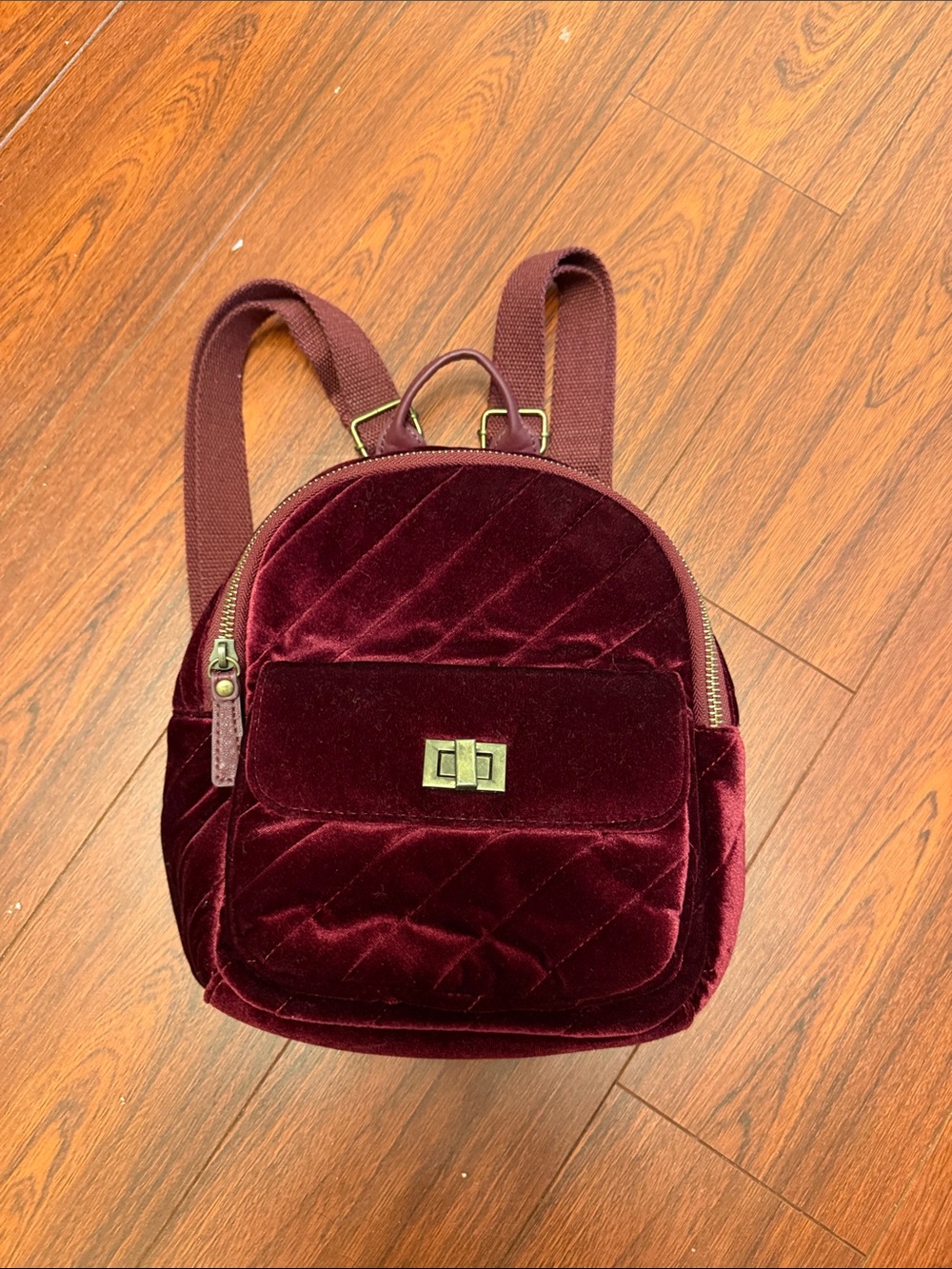 art class Velvet Mini Backpack - Burgundy
